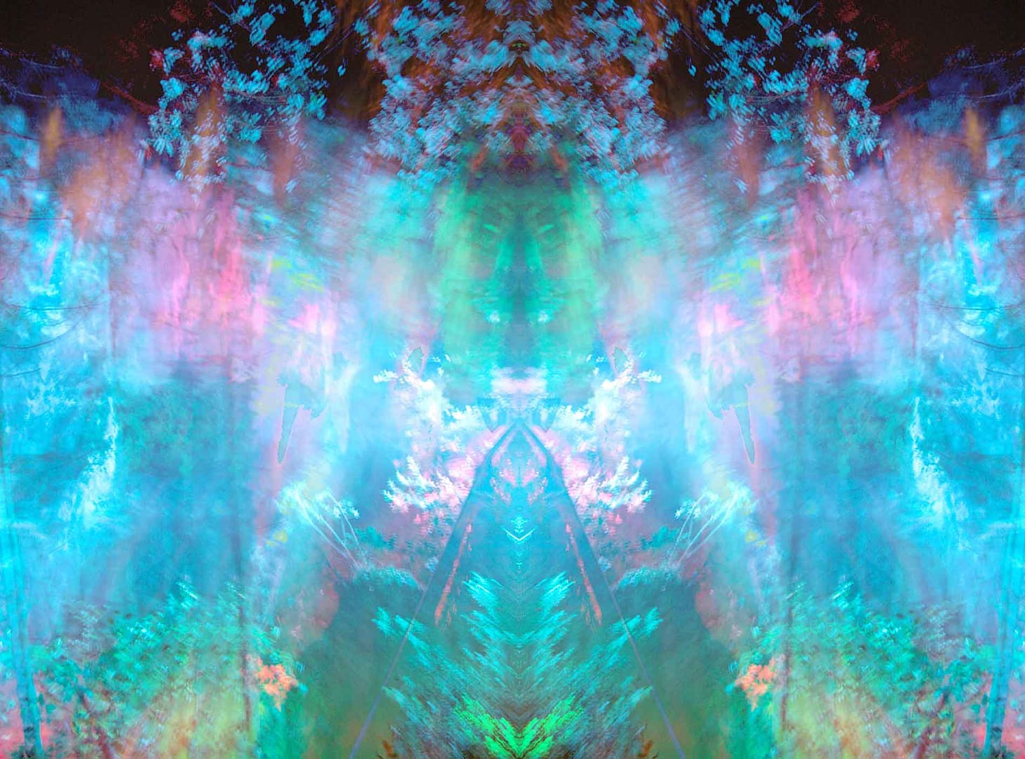 holy wood