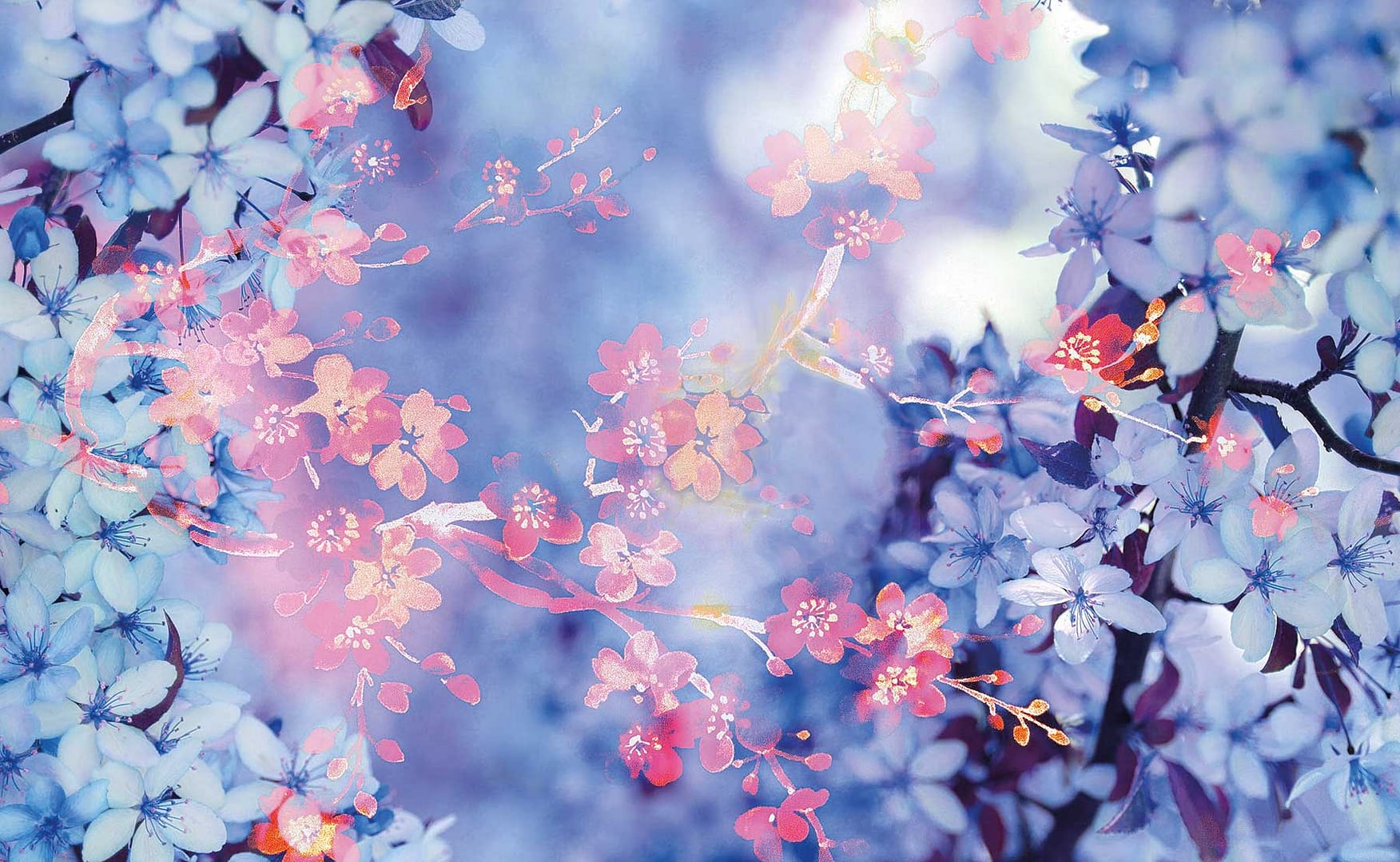 hanami kirschblueten-118x73cm
