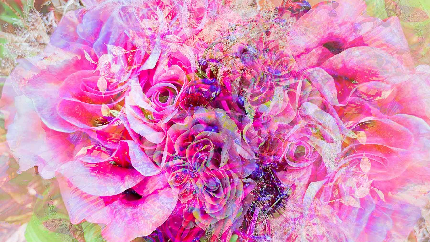 lilien-sabrinas-blumen-8