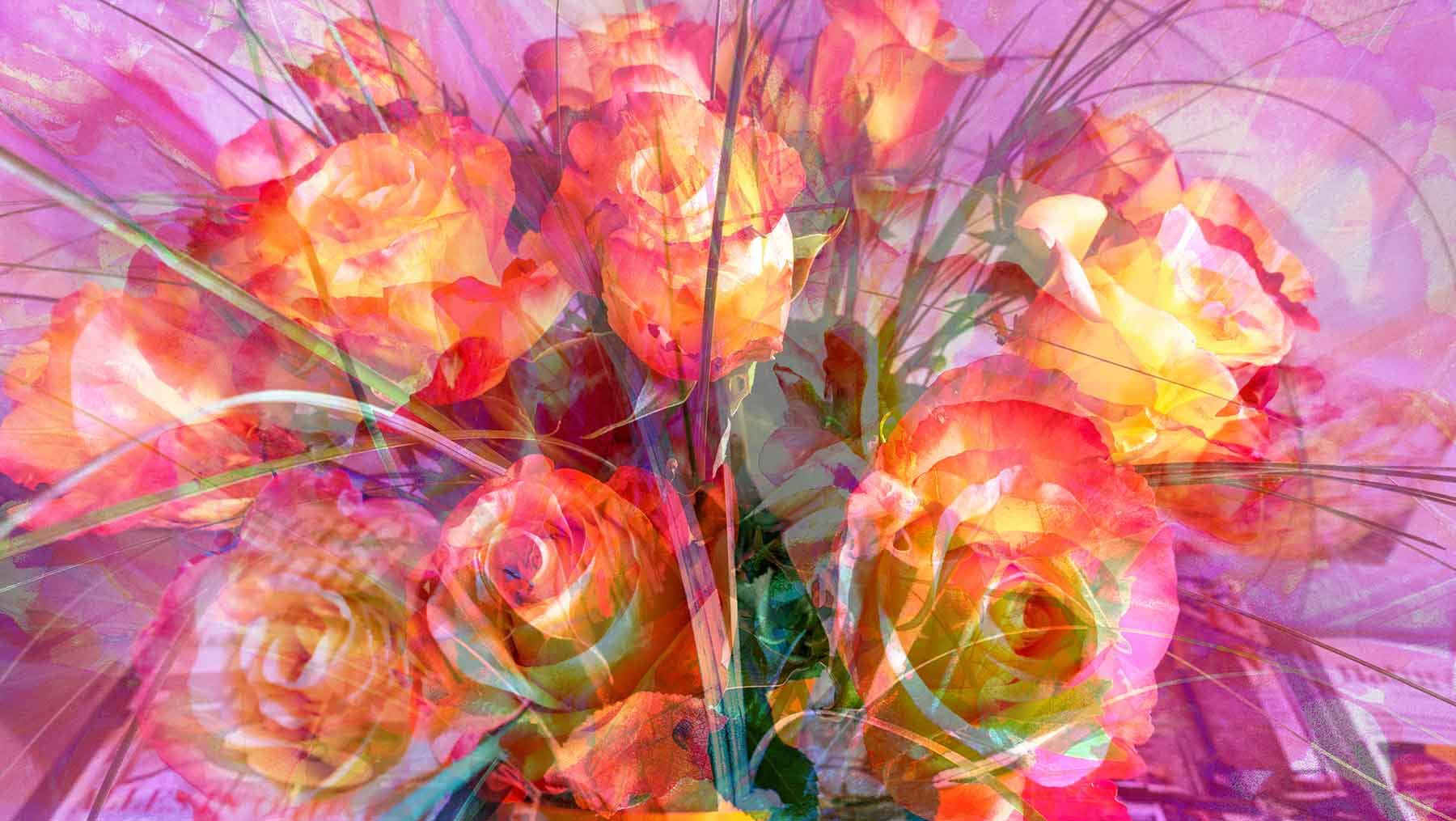 nature-rosess