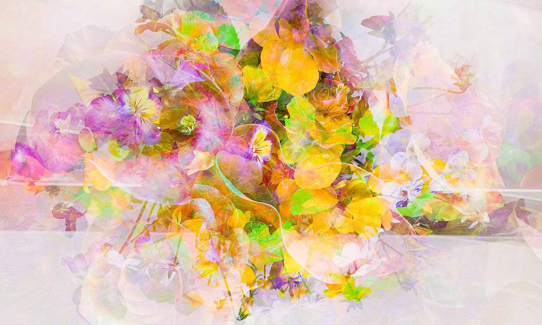 stiefmuetterchen-birthday-joylight-200x120