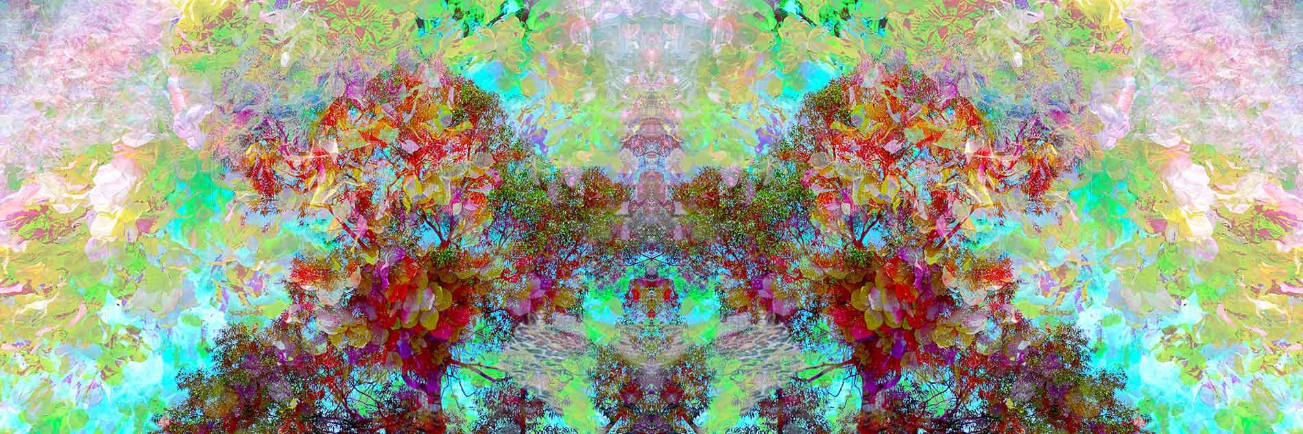 stanko colorful