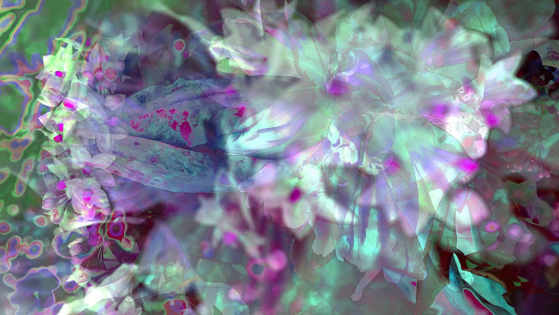 garten-lightblossom