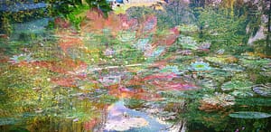 Monet Seerosen (leicht)
