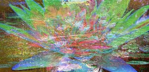 Monet Seerosen (big-blossom-turqouise)