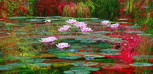 Monet Seerosen Brücke