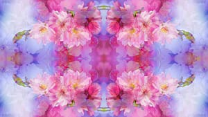 holy-kirschblueten-mariposa-2