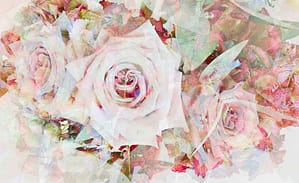 roses & hortensien