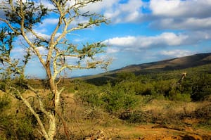 suedafrika