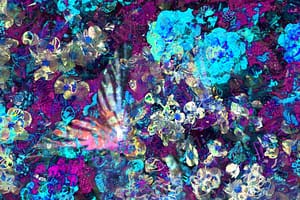 mariposa-dream-blue