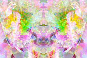 holy-wow-4-weicher