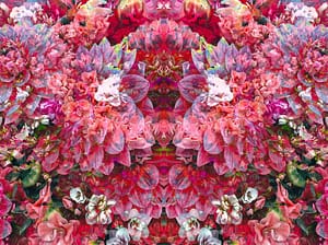holy-blossomfields