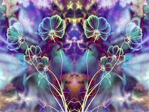 feinblossoms-holy