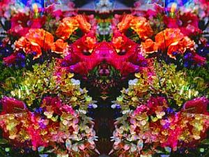 holy-august-blossom-holzkram