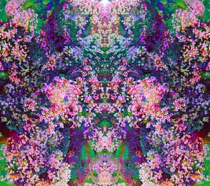 pink-blue-green-land-holy