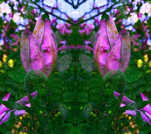 holy-holzkram-farn-magnolien