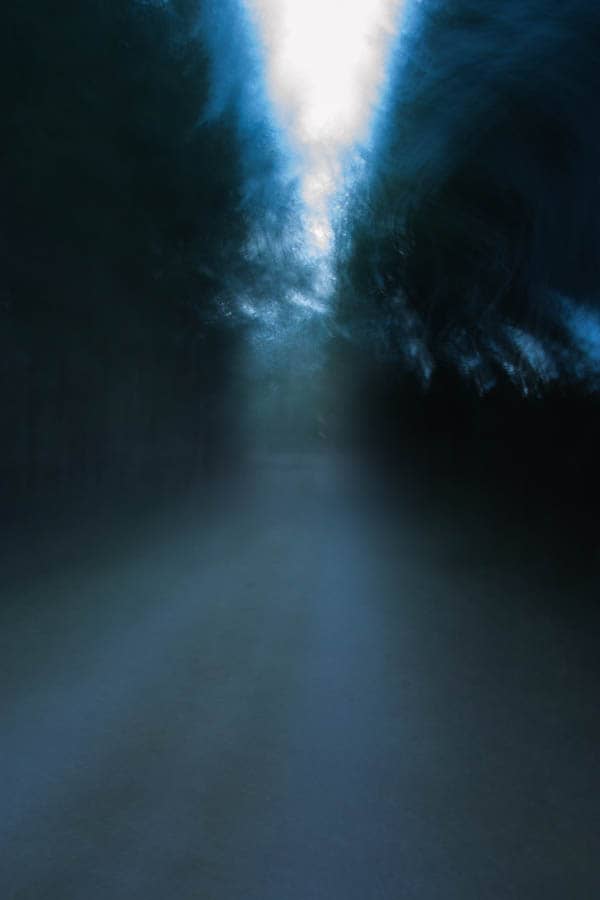 waldweg-lichtdunst
