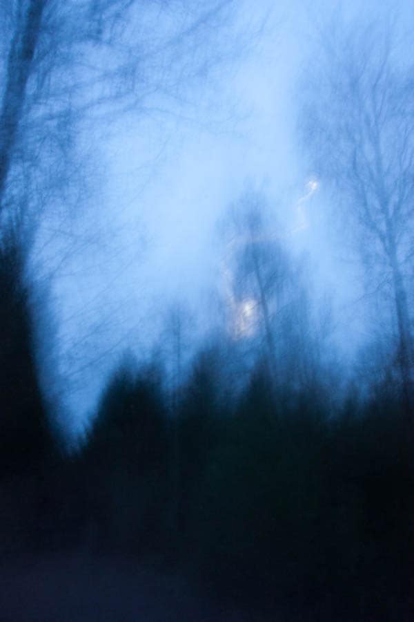 waldspaziergang 2