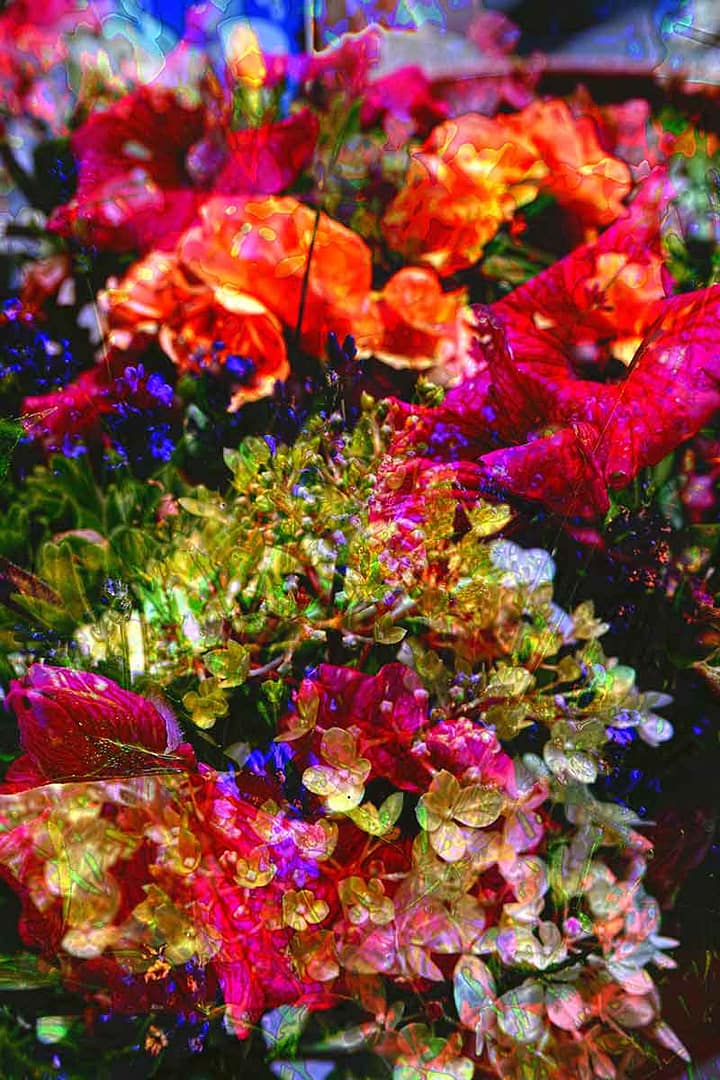august-blossom-holzkram