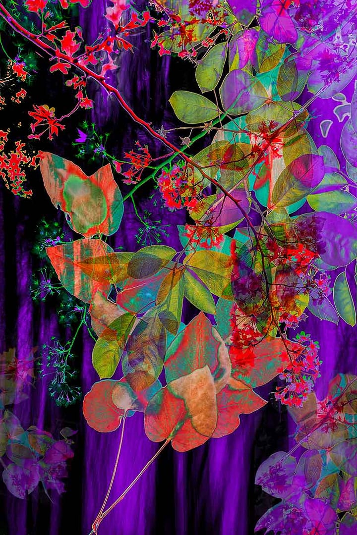 purple-prince-hommage