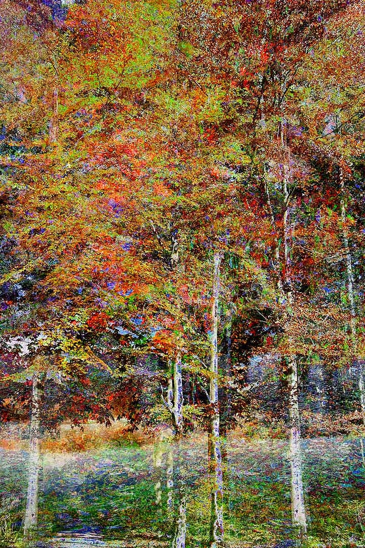 wow-wald