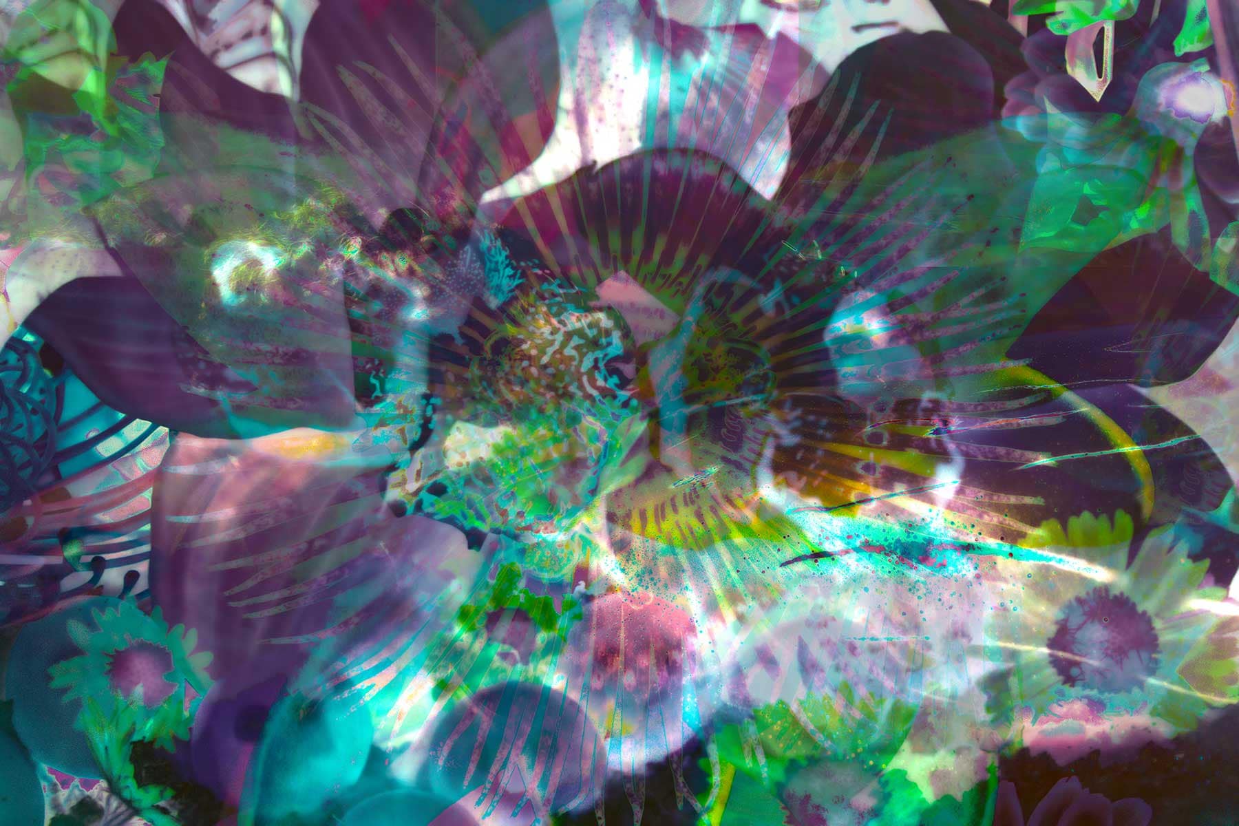 salzburg-unendliche-farben-merged